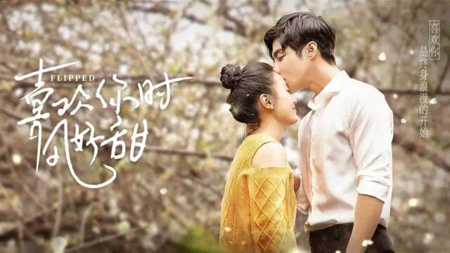 flipped - 14 Best Office Romance Chinese Dramas