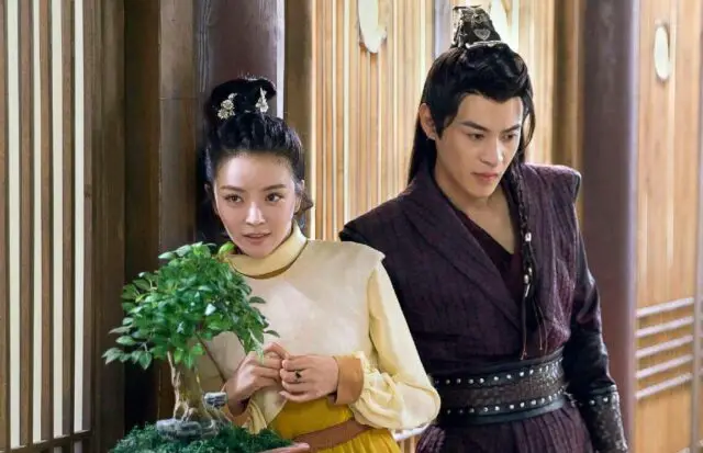 Cinderella Chef -  17 Best Contract Marriage Chinese Dramas